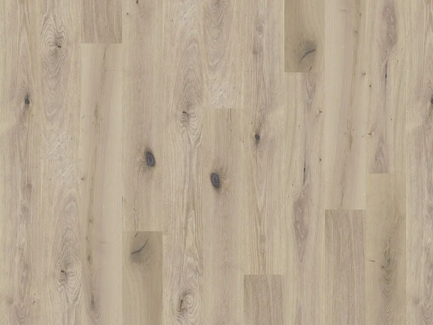 Duchateau Flooring Global Winds Collection